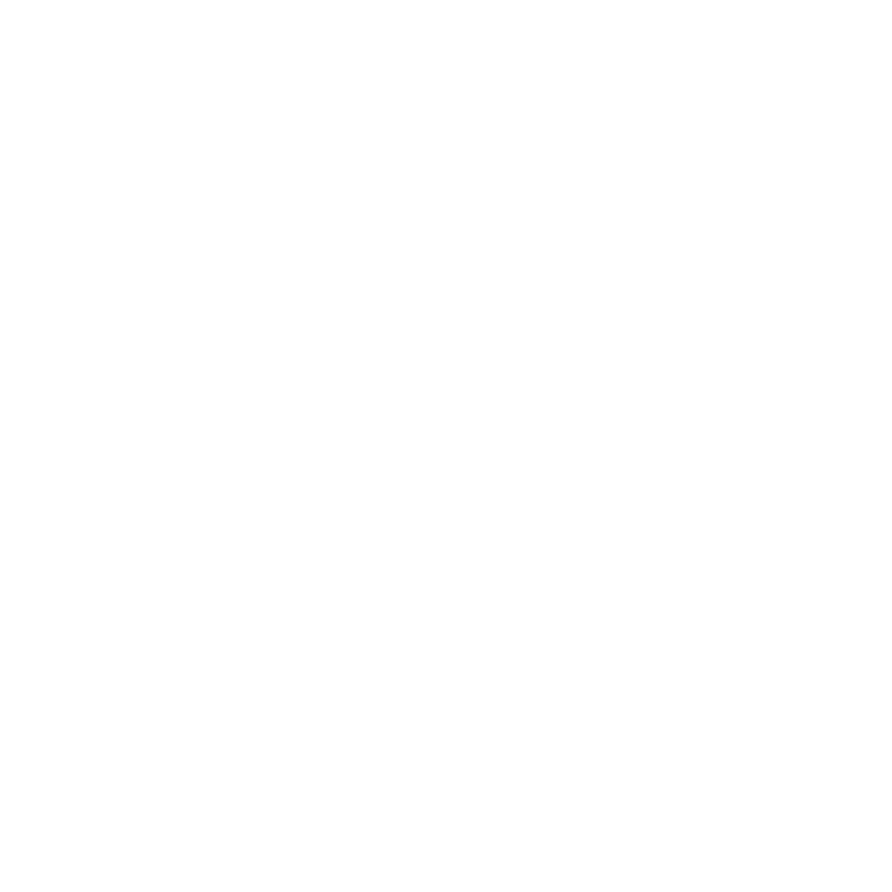 SR University Warangal
